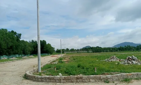 Phước Hòa (Phú Mỹ, Bà Rịa - Vũng Tàu): Cẩn trọng với dự án “ma” trên đất nông nghiệp